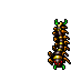 Centipede
